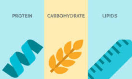 Learn everything you want to know about fats, carbohydrates and proteins