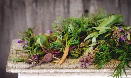 9 Reasons to Grow Your own organic vegetable garden