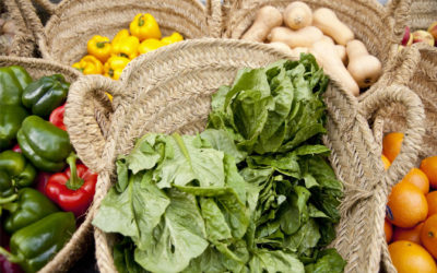 Organic Vegetable Garden Basics