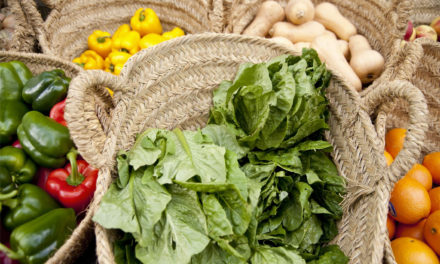 Organic Vegetable Garden Basics