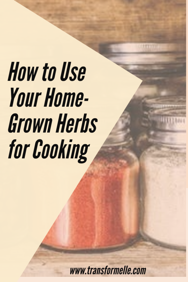 How To Use Your Home Grown Herbs For Cooking Transformelle