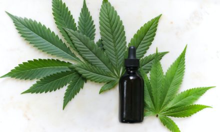 CBD Oil and Hemp oil – effectiveness, health benefits, and side effects