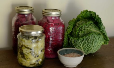 What is Fermentation and how is it Helpful to Humans