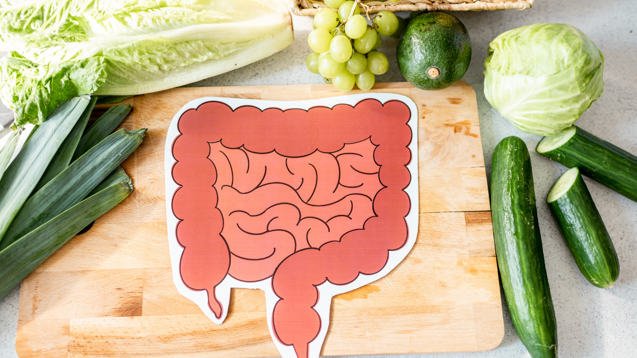 Gut health your food and digestive system