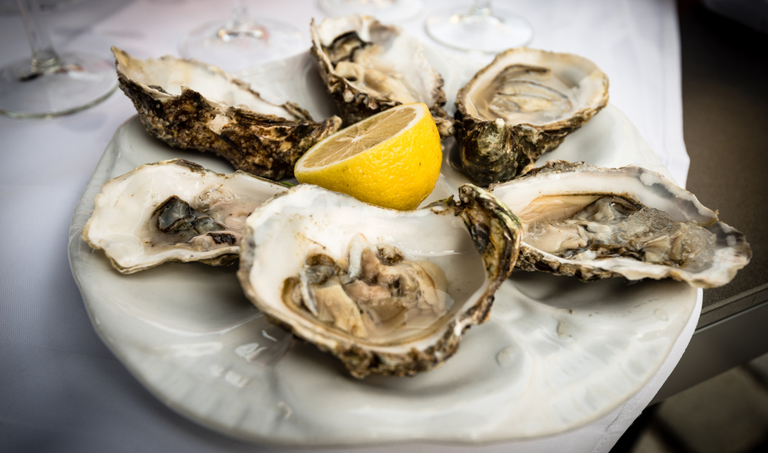oysters food under 50 cal.