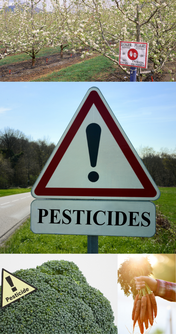 foods with most pesticides