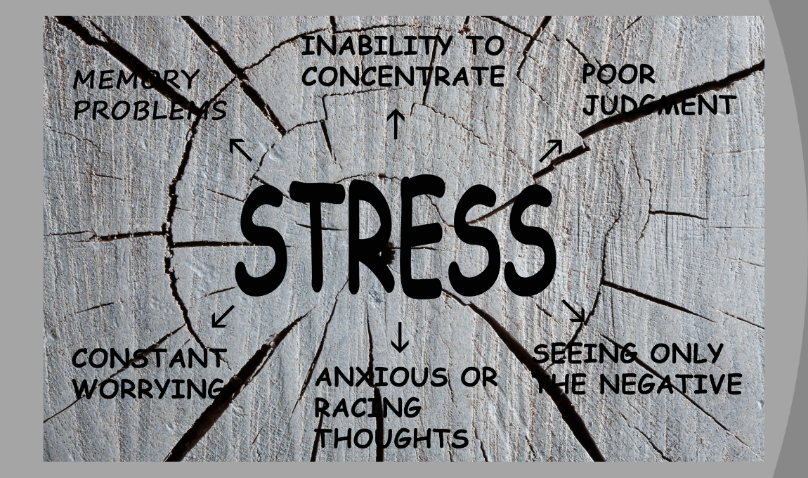 how stress affect your body and health