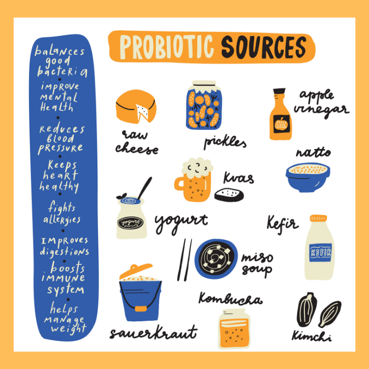 probiotic sources