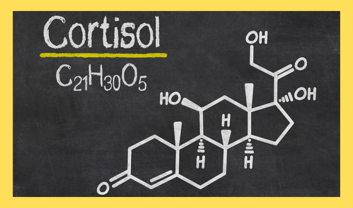 stress and cortisol