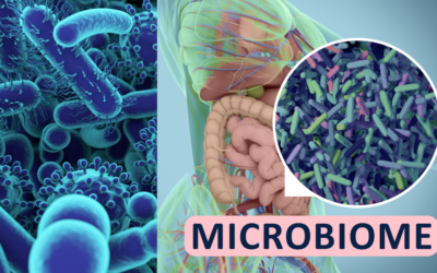 Your gut health and how to maintain the balance of good and bad bacteria
