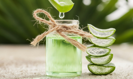 What are the benefits of Aloe as an herbal therapy?
