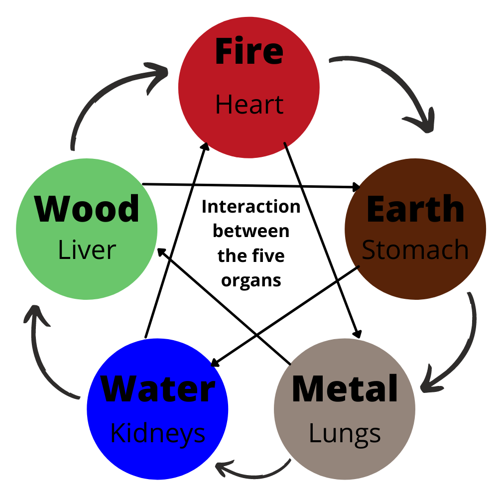 The 5 elements of TCM are connected