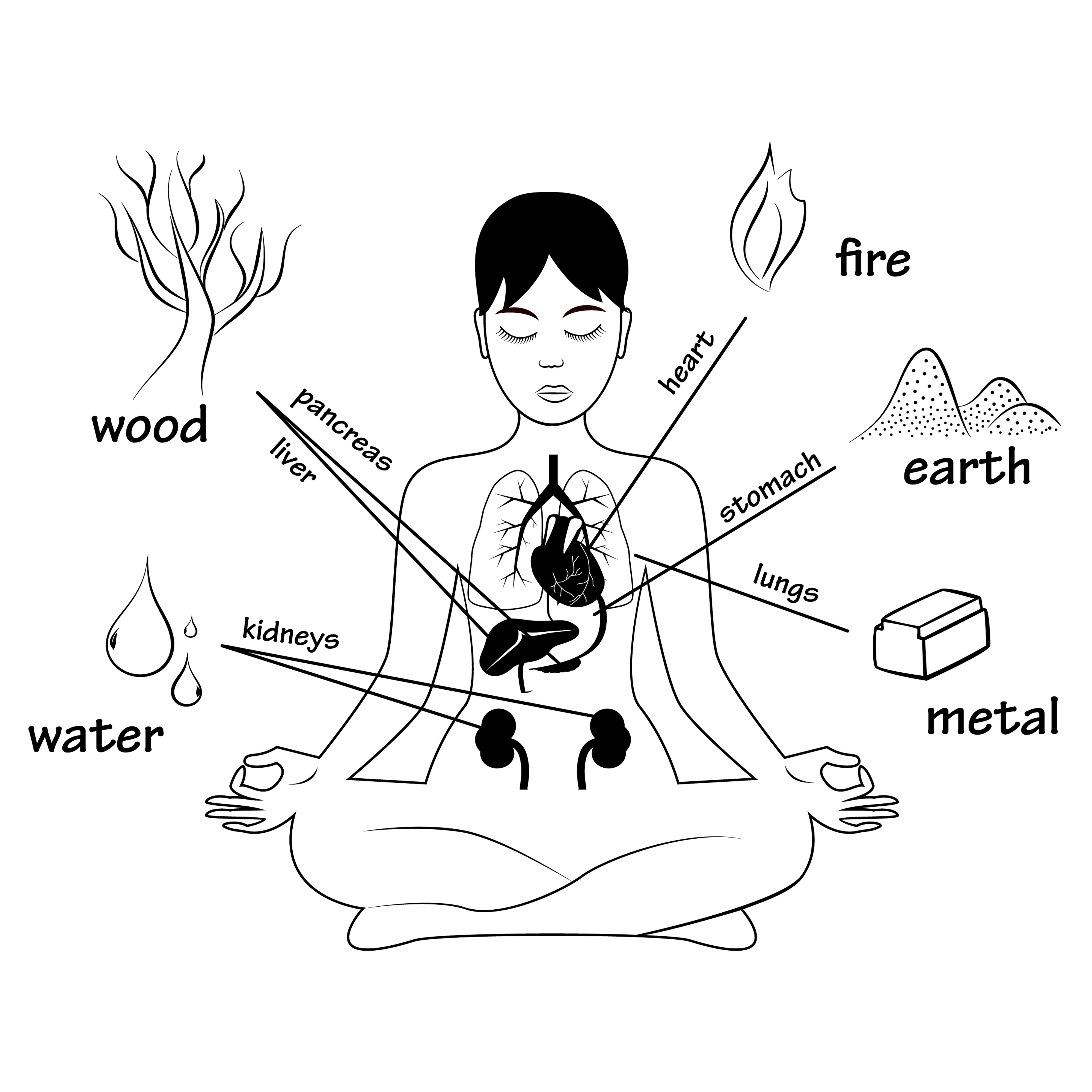 the 5 elements of TCM