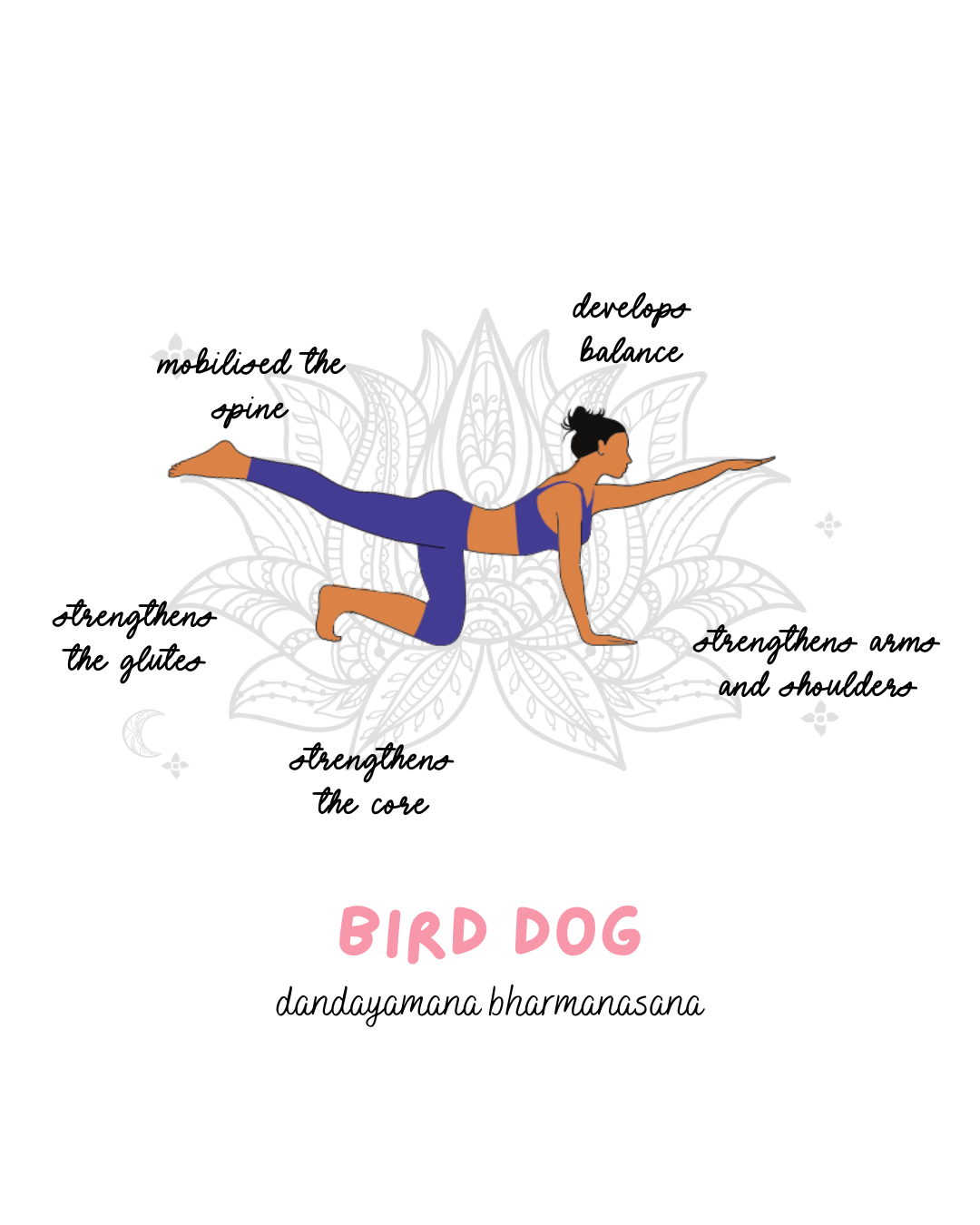 bird dog pose yoga